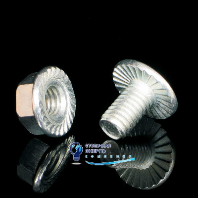 Винт и гайка с зубчатыми насечками M6х20 S 6X20 M_ZNCR