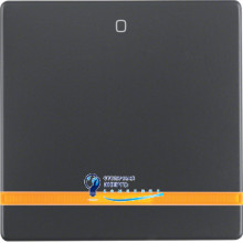 Клавиша 1Х с линзой со знаком «0», антрацит, Q.х