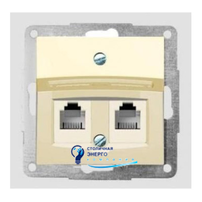 Корпус для установки 2-х разъемов RJ-12/RJ-45 АМР с заглушкой и полем для надписи, сл. / Кость FIORENA