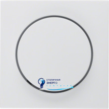 Накладка для поворотного диммера, полярная белизна S.1