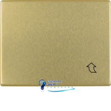 Рамка 1Х с крышкой для центральной панели 50х50мм, золото, ARSYS