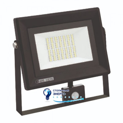 Прожектор світлодіодний з датчиком, PARS/S-50 50W 6400K