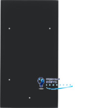 Стеклянный сенсор 2-канал., конфигурируемый, черный, TS Sensor