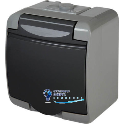 Розетка 1X с заземлением Schuko RHE-1s-SRG (серая/графит. крышка, IP54)