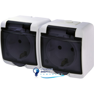 Розетка 2X Schuko, димчаста кришка, RHE-2sd, IP44/54