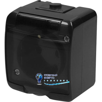 Розетка 1X с заземлением Schuko RHE-1sd-BL (черн./прозрачная крышка, IP54)