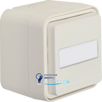 Розетка із заземленням, поле для надпису, IP55, полярна білизна, 16А/250V W.1