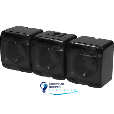 Розетка 3X с заземлением Schuko RHE-3sd-BL (черн./прозрачная крышка, IP54)