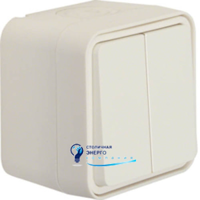 Кнопка 2-клавішна IP55, пол.білий, 10АX/250V W.1