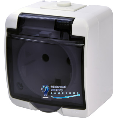 Розетка 1X Schuko, димчаста кришка, RHE-1sd, IP44/54