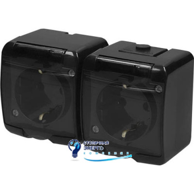 Розетка 2X с заземлением Schuko RHE-2sd-BL (черн./прозрачная крышка, IP54)