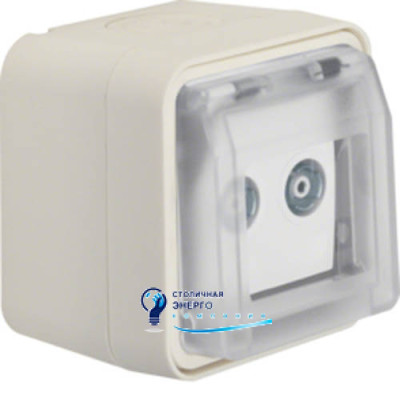 Розетка антенная, 2 отверстия, отдельная, IP55, полярная белизна, W.1