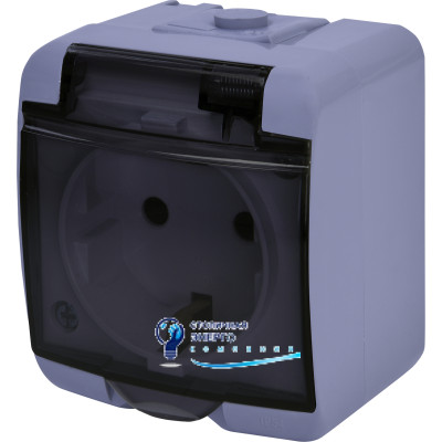 Розетка 1X Schuko, сірий димчаста кришка, RHE-1sd-SR, IP44/54