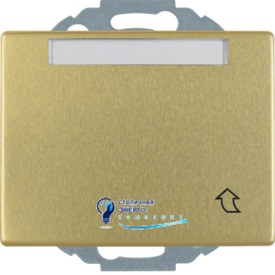 Розетка с з/к, крышка, защ.контактов, золото, 16А/250V ARSYS