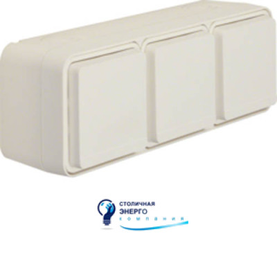 Розетка 3X із заземленням горизонтальна, IP55, полярна білизна, 16А/250V W.1