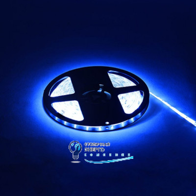 Стрічка світлодіодна REN синя 12V DC IP65