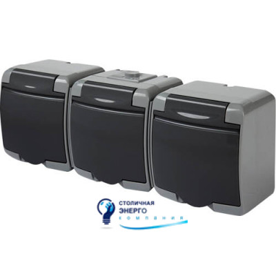 Розетка 3X із заземленням Schuko RHE-3s-SRG (сіра/графіт. кришка, IP54)