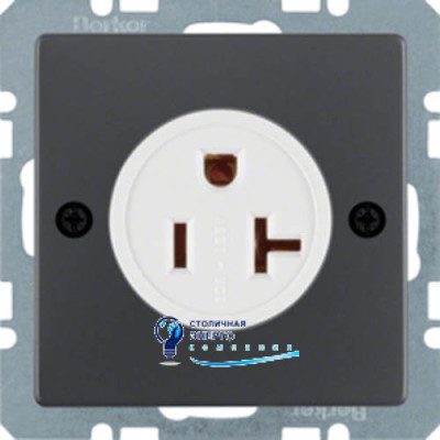 Розетка USA/CANADA NEMA 5-20 R, 20А/125V, антрацит, Q.x
