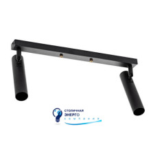 Светильник потолочный (спот) Stork L185-2 Black
