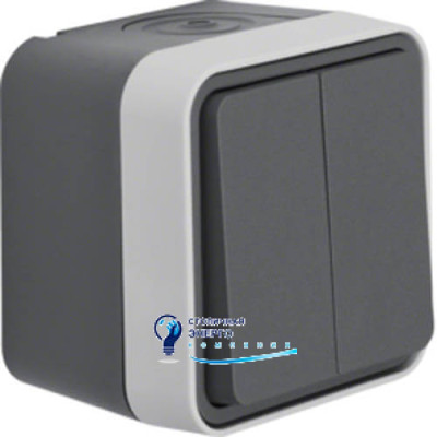 Кнопка 2-клавішна IP55, сірий, 10АX/250V W.1
