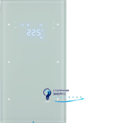 Сенсор скляний 2-кан. з регулятором температури, полярна білизна, TS Sensor R.1