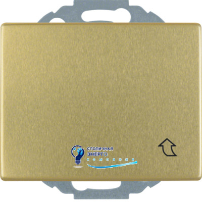 Розетка с з/к, крышка, защ.контактов, золото, 16А/250V ARSYS