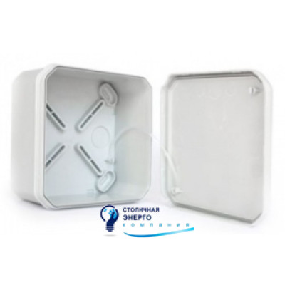 Коробка ответв. с гладкими стенками IP66 100х100х50 мм двойной замок DKC 54810