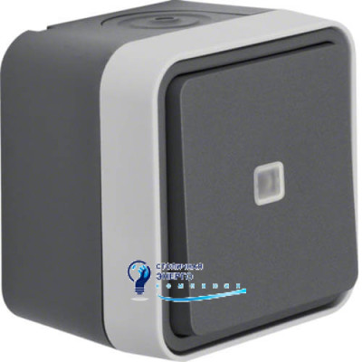 Переключатель с подсветкой IP55, серый, 10АX/250V W.1