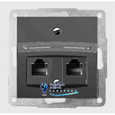 Корпус для установки двух разъемов RJ-12/RJ-45 антрацит-matt FIORENA